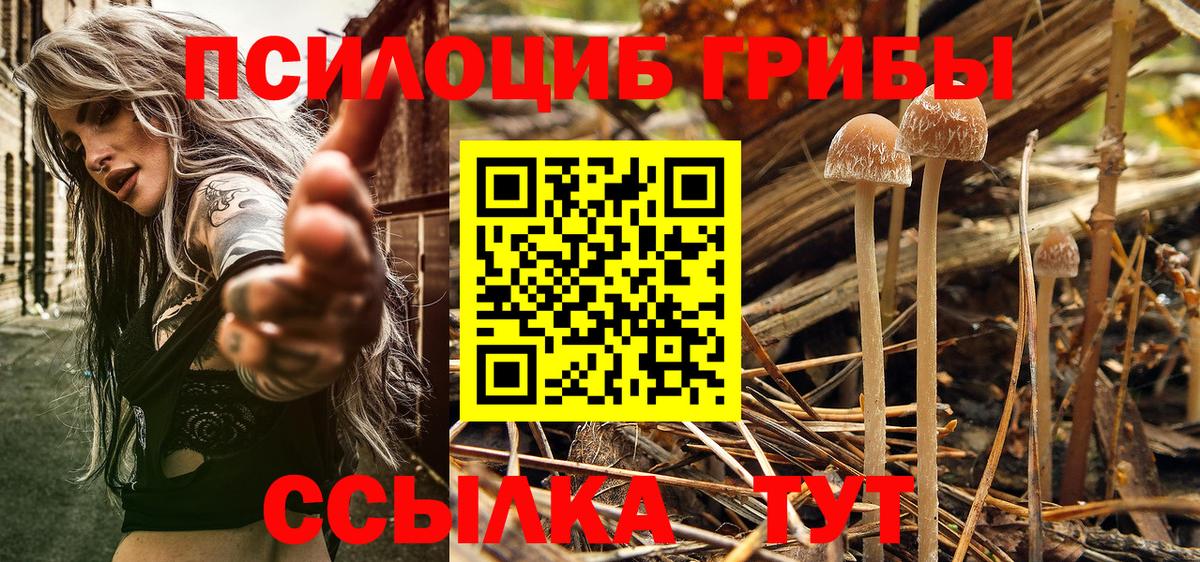Осинники  Галлюциногенные грибы Cubensis  Вход с VPN 